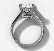 Hidden Halo Cathedral Engagement Ring with Princess Cut Diamond